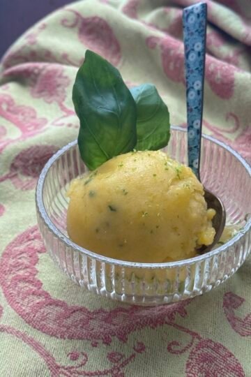 mango sorbet